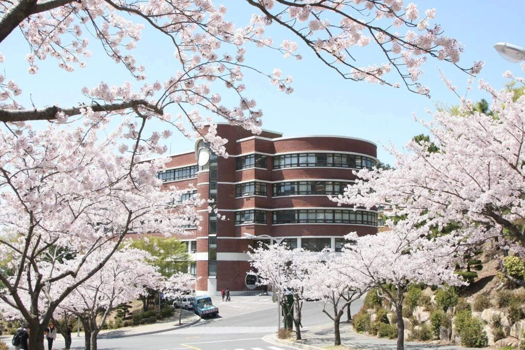 Trường Đại học Silla: Top 10 trường đào tạo tiếng Hàn tốt nhất Hàn Quốc